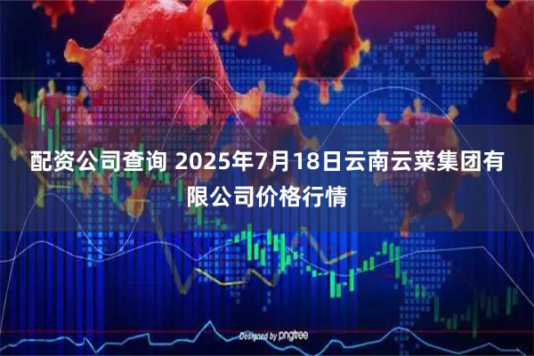 配资公司查询 2025年7月18日云南云菜集团有限公司价格行情