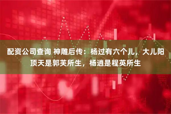 配资公司查询 神雕后传：杨过有六个儿，大儿阳顶天是郭芙所生，杨逍是程英所生