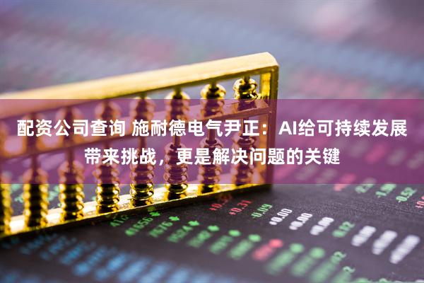 配资公司查询 施耐德电气尹正：AI给可持续发展带来挑战，更是解决问题的关键